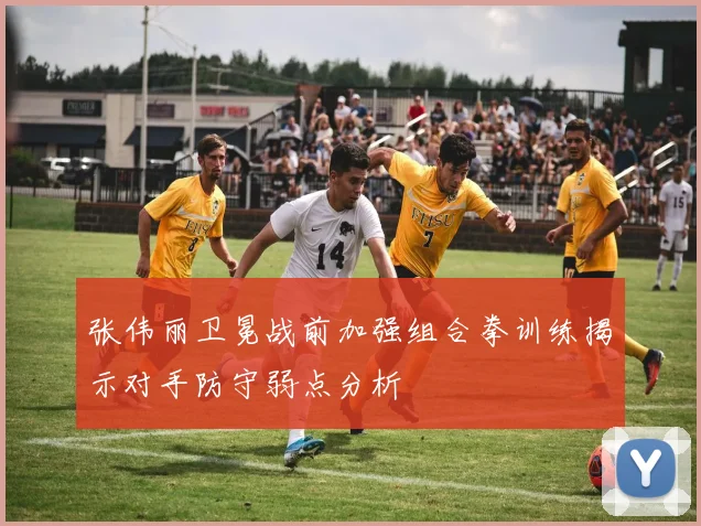 张伟丽卫冕战前加强组合拳训练揭示对手防守弱点分析