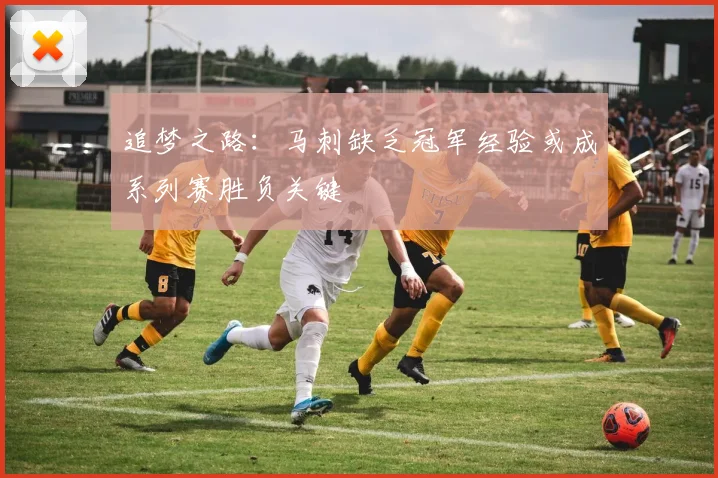 追梦之路：马刺缺乏冠军经验或成系列赛胜负关键